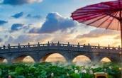 陈谋勇： 莲雾漫阶