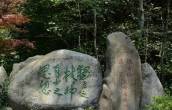 唐咏梅：陈寅恪墓前的沉吟