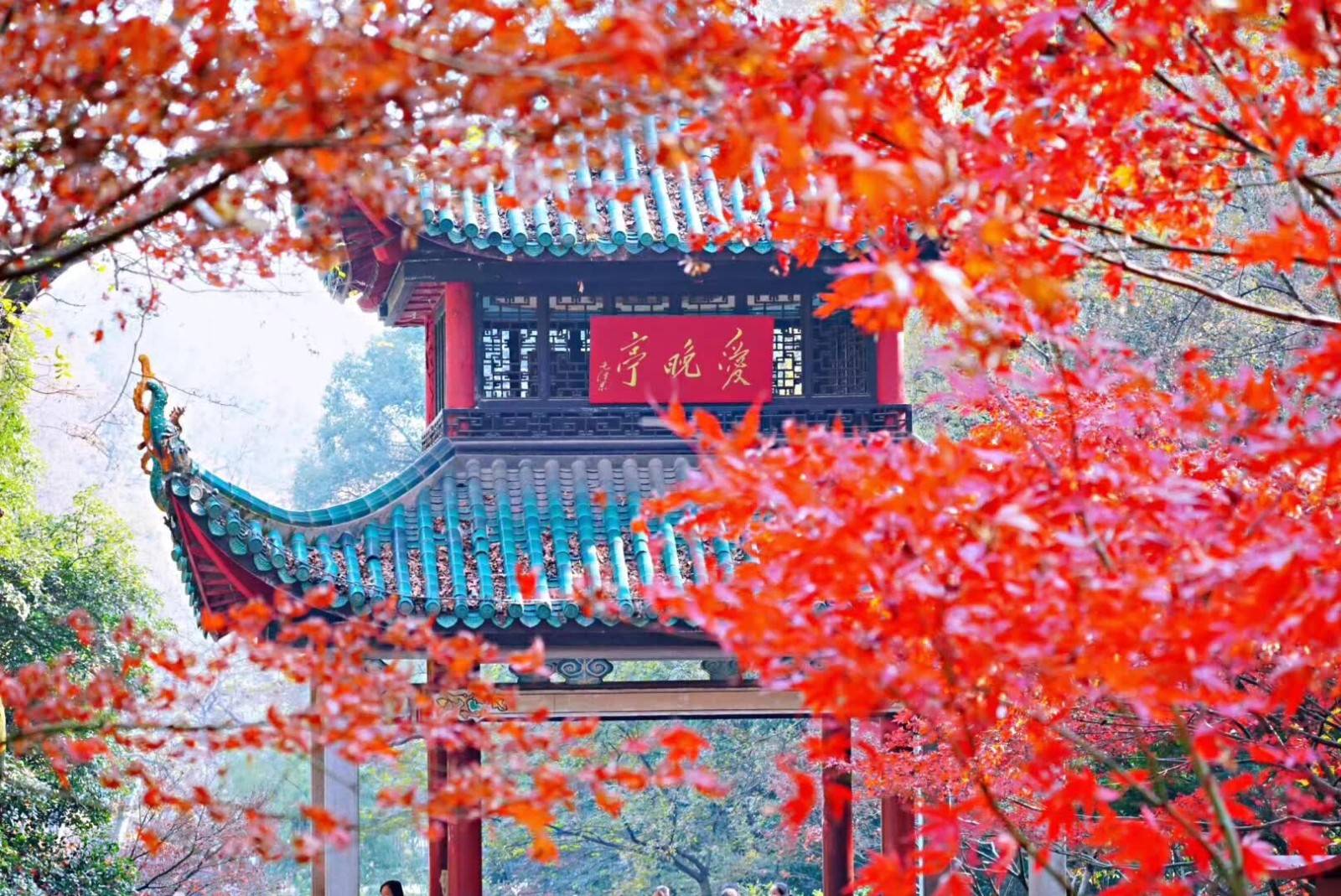 由手机上传