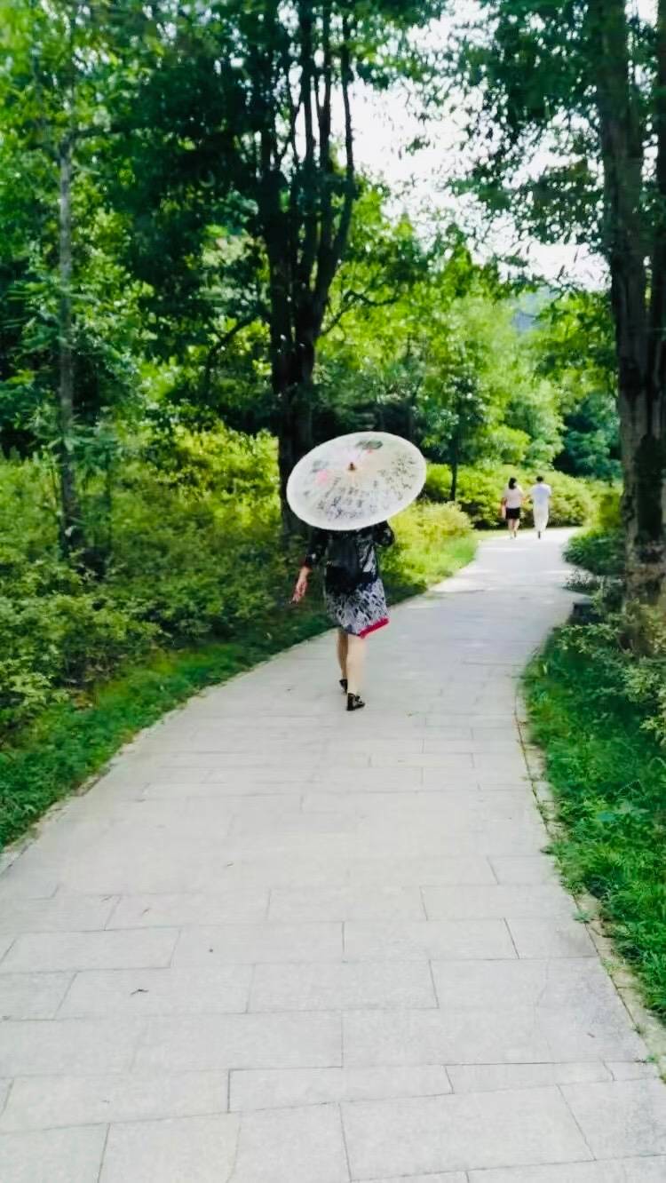 由手机上传