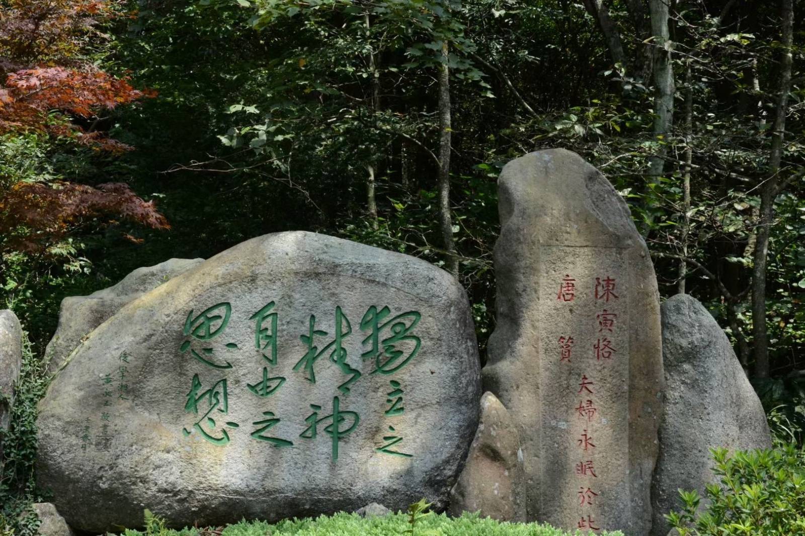 由手机上传